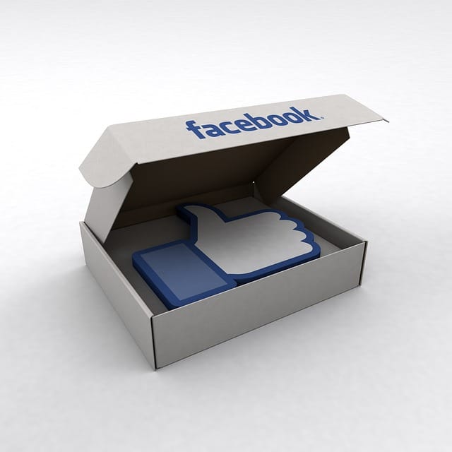 Convert Likes To Leads With These Facebook Marketing Tips convert likes to leads with these facebook marketing tips 1