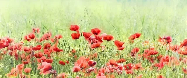 Tops Tips About Facebook Marketing That Anyone Can Follow tops tips about facebook marketing that anyone can follow